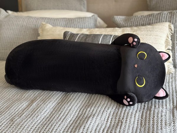 Long Black Cat