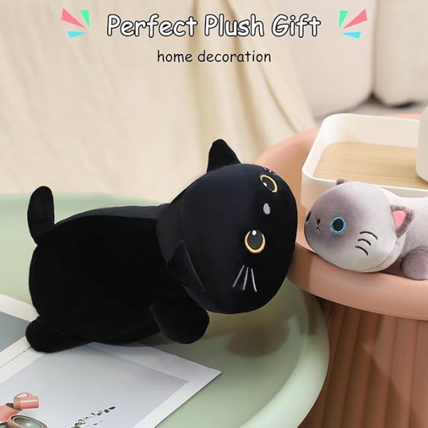 Black Cat