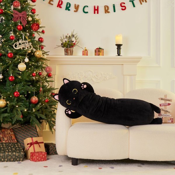 Long Black Cat