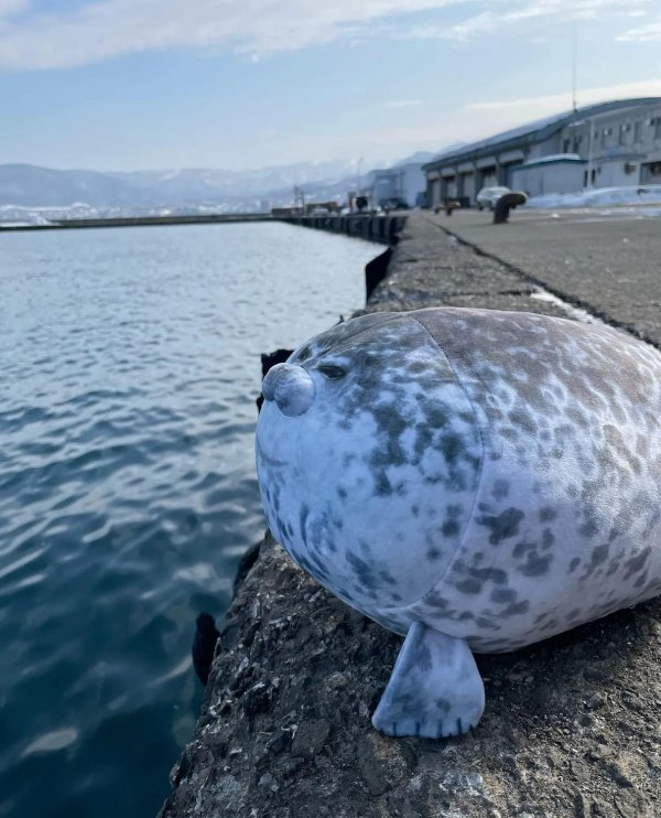 Seal Plush Pillow: Soft Stuffed Animal Toy